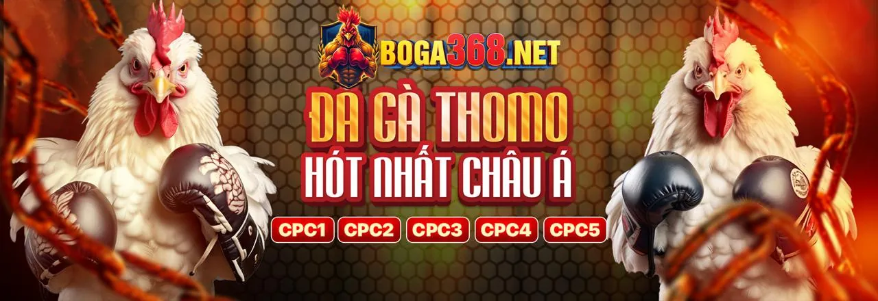 Cá Cược Thể Thao 333 vin