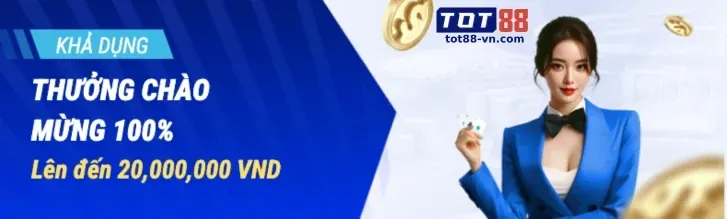 Người dùng chấp thuận điều khoản dịch vụ của 333 vin