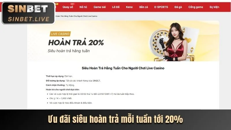 Hướng dẫn nhận các ưu đãi độc quyền từ 333 vin